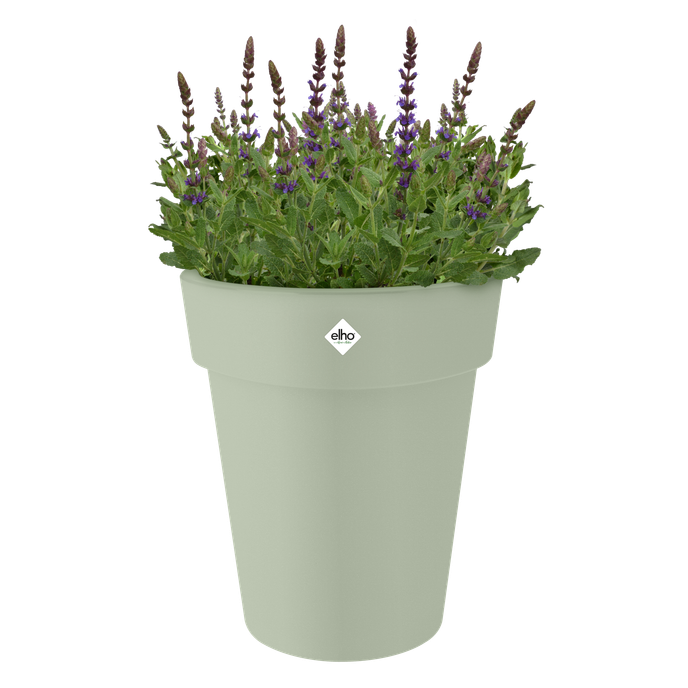 green basics top planter haut 35cm vert pierre
